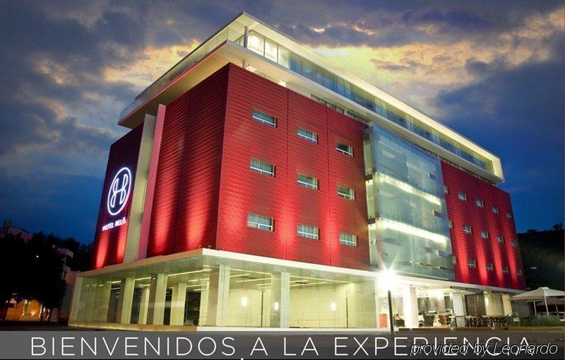 Gamma Morelia Belo Bagian luar foto